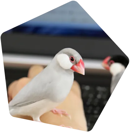 社員紹介